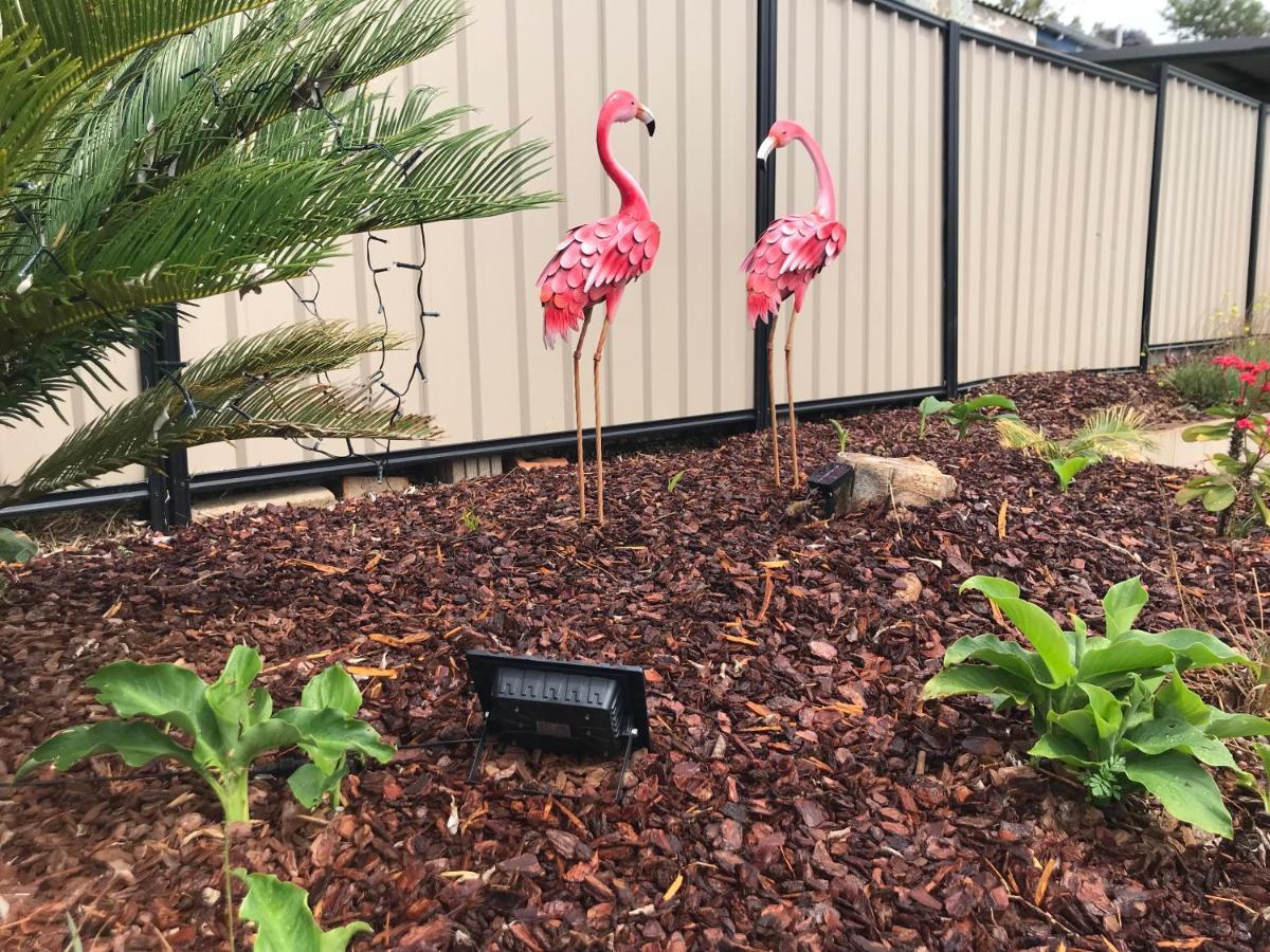 Leichhardt Motor Inn Toowoomba Zewnętrze zdjęcie